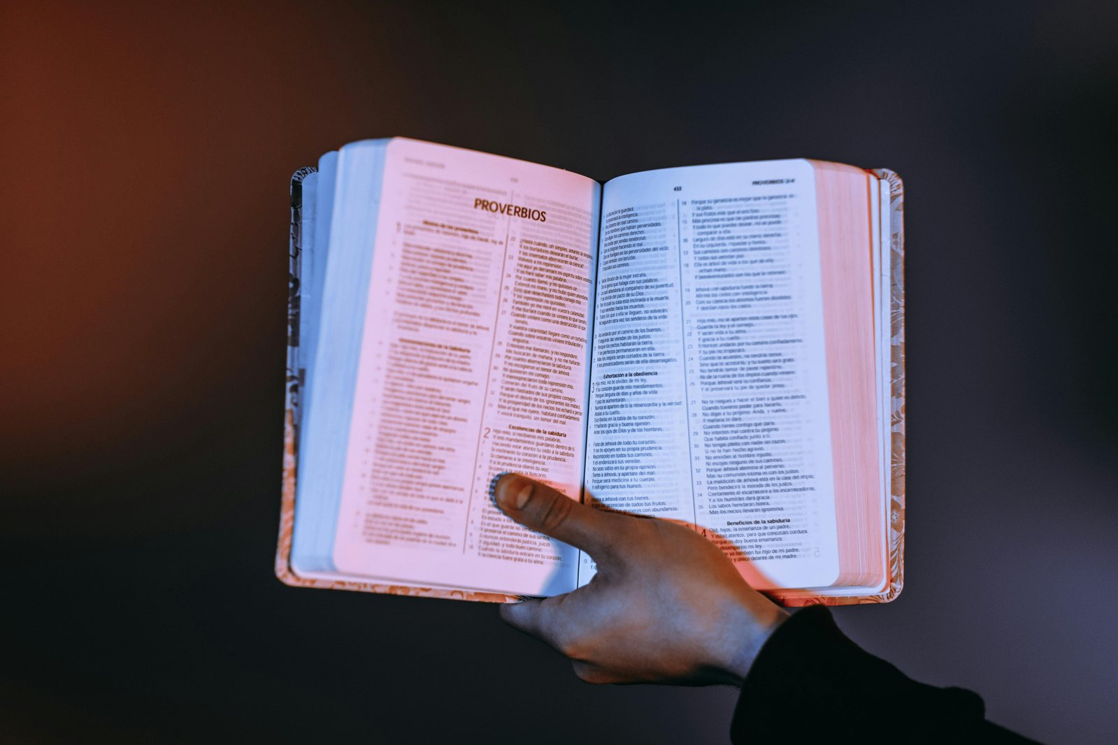 Lecture du livre des Proverbes